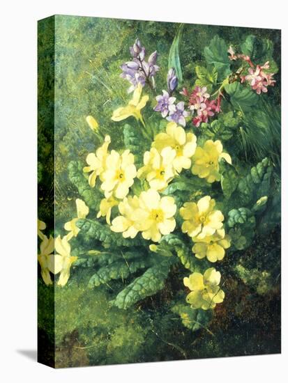 Spring Flowers-Annie Feray Mutrie-Premier Image Canvas