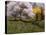 Spring Flowers-Michael Budden-Premier Image Canvas