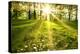 Spring Forest-g_peshkova-Premier Image Canvas