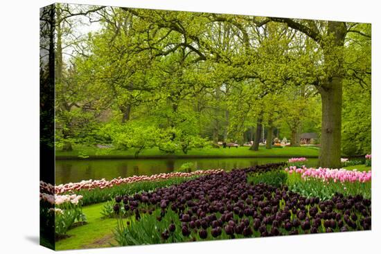 Spring Garden in Keukenhof, Holland-neirfy-Premier Image Canvas