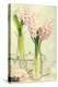Spring Hyacinth Flowers in Vintage Glass Bottles-Amd Images-Premier Image Canvas