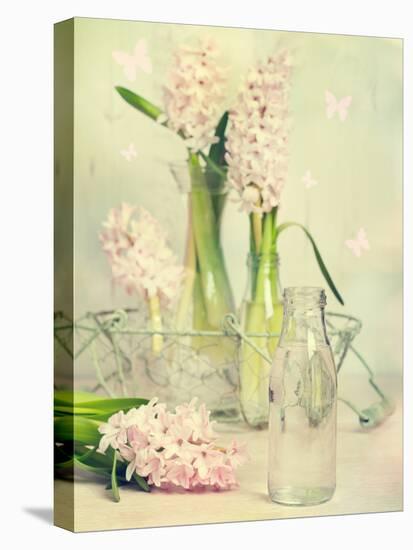 Spring Hyacinths with Focus-Amd Images-Premier Image Canvas