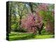 Spring in Central Park-Marco Carmassi-Premier Image Canvas