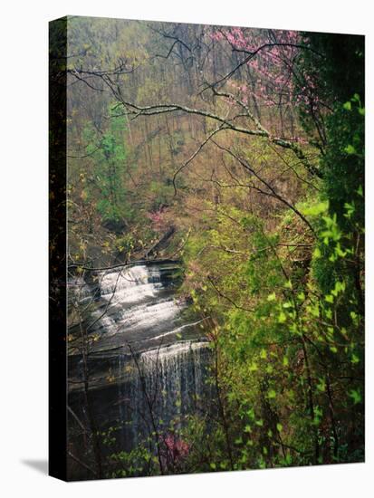 Spring in Clifty Creek State Park, Indiana, USA-Anna Miller-Premier Image Canvas