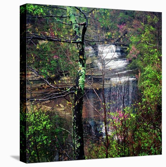 Spring in Clifty Creek State Park, Indiana, USA-Anna Miller-Premier Image Canvas