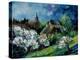 Spring In Fays-Pol Ledent-Stretched Canvas