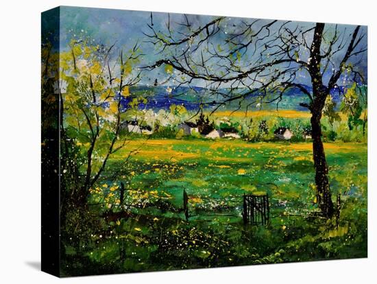 Spring In Herock 57-Pol Ledent-Stretched Canvas