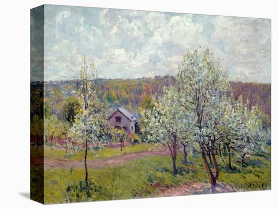 Spring in the Environs of Paris, Apple Blossom, 1879-Alfred Sisley-Premier Image Canvas