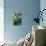Spring Iris I-Alan Hausenflock-Premier Image Canvas displayed on a wall