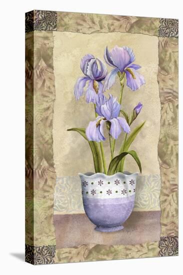 Spring Iris-Abby White-Stretched Canvas