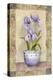 Spring Iris-Abby White-Stretched Canvas