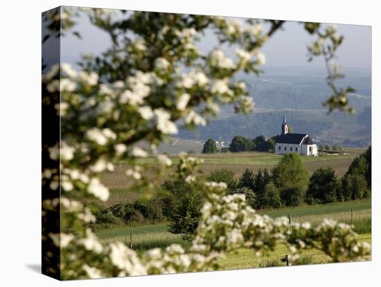 Spring Landscape with Little Church Near Nittel, Mosel-Valley, Rhineland-Palatinate, Germany, Europ-Hans Peter Merten-Premier Image Canvas