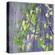 Spring Leaves-Ken Bremer-Stretched Canvas