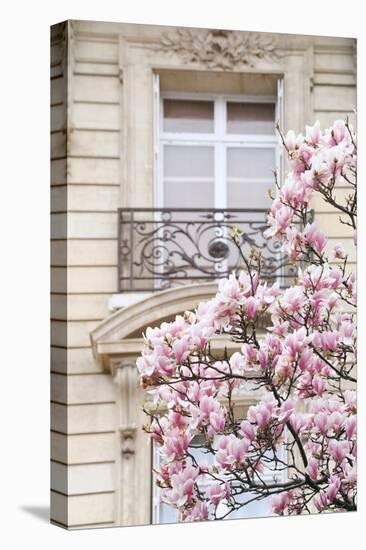 Spring Magnolias in Paris-Carina Okula-Premier Image Canvas