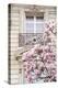Spring Magnolias in Paris-Carina Okula-Premier Image Canvas