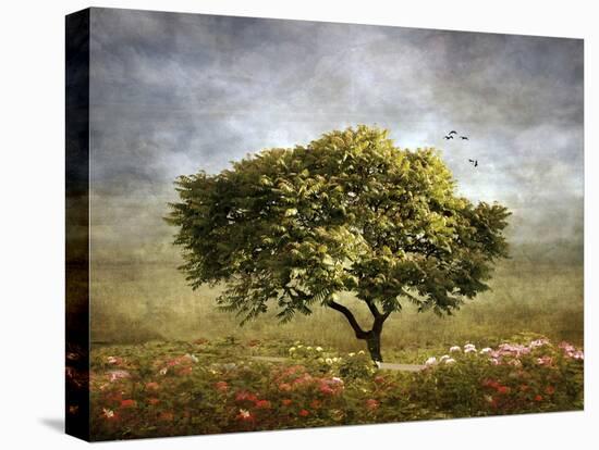 Spring Mimosa-Jessica Jenney-Premier Image Canvas