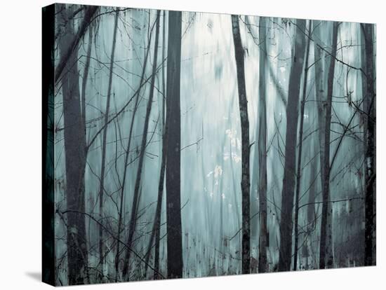 Spring Mist I-Marvin Pelkey-Stretched Canvas