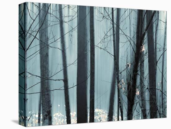 Spring Mist II-Marvin Pelkey-Stretched Canvas
