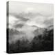 Spring Mist, Smoky Mountains-Nicholas Bell-Premier Image Canvas