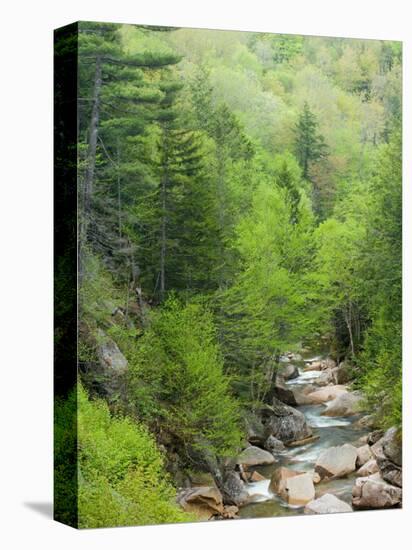 Spring on the Pemigewasset River, Flume Gorge, Franconia Notch State Park, New Hampshire, USA-Jerry & Marcy Monkman-Premier Image Canvas