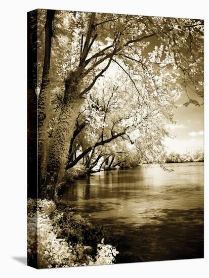 Spring on the River I-Alan Hausenflock-Premier Image Canvas