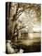 Spring on the River I-Alan Hausenflock-Premier Image Canvas