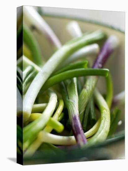 Spring Onions in a Dish-Neil Corder-Premier Image Canvas