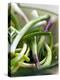 Spring Onions in a Dish-Neil Corder-Premier Image Canvas
