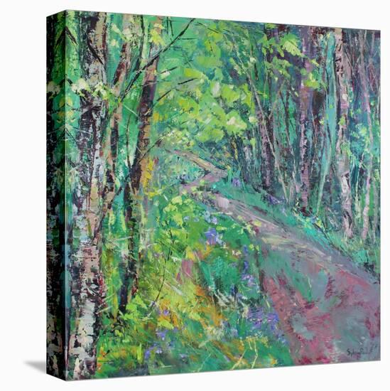 Spring Pathway-Sylvia Paul-Premier Image Canvas