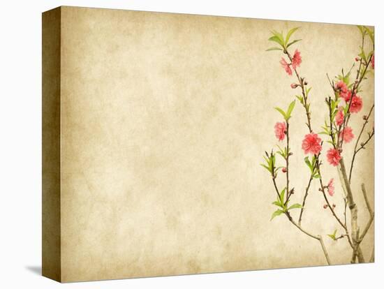 Spring Peach Blossom on Old Antique Vintage Paper Background-kenny001-Stretched Canvas