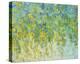 Spring’s Delight-Jessica Torrant-Stretched Canvas