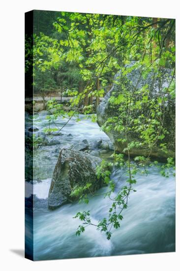 Spring Scene on the Trail to Mirror Lake, Yosemite Valley-Vincent James-Premier Image Canvas