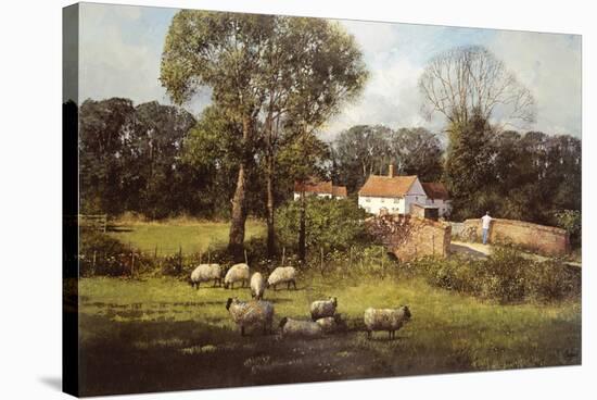 Spring Splendour-Clive Madgwick-Stretched Canvas