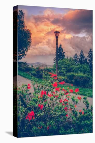 Spring Storm at Pittock Mansion, Portland Oregon-null-Premier Image Canvas