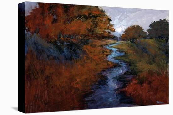 Spring Stream I-Michael Tienhaara-Stretched Canvas