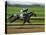 Spring Thoroughbred Horse Racing at Keeneland, Kentucky, USA-Adam Jones-Premier Image Canvas