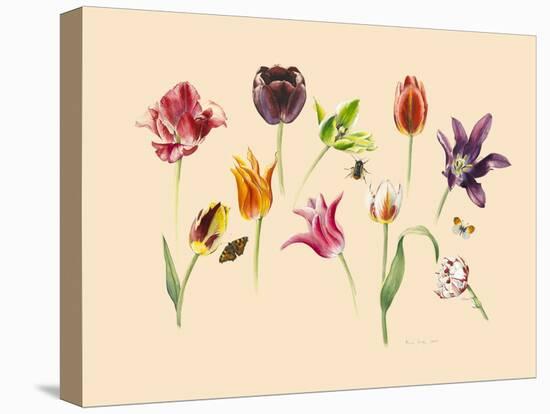 spring tulips and insects-Alison Cooper-Premier Image Canvas