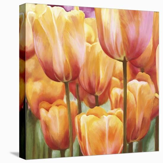 Spring Tulips II-Luca Villa-Stretched Canvas