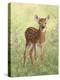 Spring Whitetail Fawn-Crista Forest-Premier Image Canvas