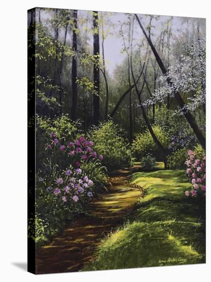 Spring Woods-Lene Alston Casey-Stretched Canvas