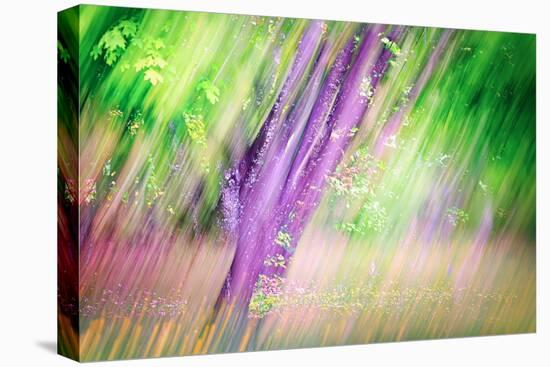 Spring-Ursula Abresch-Premier Image Canvas