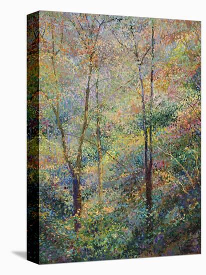 Spring-Stephen Henning-Premier Image Canvas