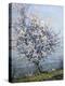 Spring-Emanuel Phillips Fox-Premier Image Canvas