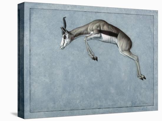 Springbok-James W. Johnson-Premier Image Canvas