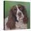 Springer Spaniel Fleck-Karie-Ann Cooper-Premier Image Canvas