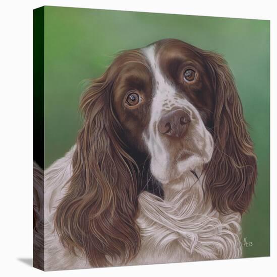 Springer Spaniel Fleck-Karie-Ann Cooper-Premier Image Canvas