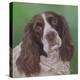 Springer Spaniel Fleck-Karie-Ann Cooper-Premier Image Canvas