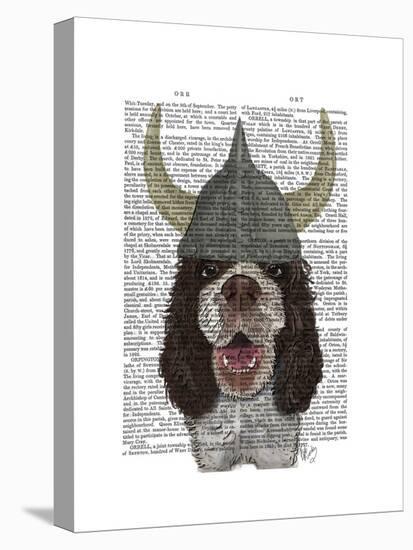 Springer Spaniel Viking-Fab Funky-Stretched Canvas