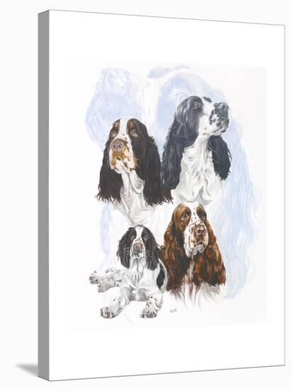 Springer Spaniel-Barbara Keith-Premier Image Canvas