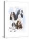 Springer Spaniel-Barbara Keith-Premier Image Canvas